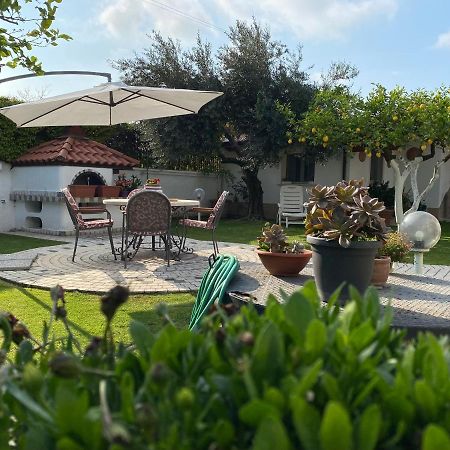 Cellole Villa Cecilia Bed And Breakfast מראה חיצוני תמונה