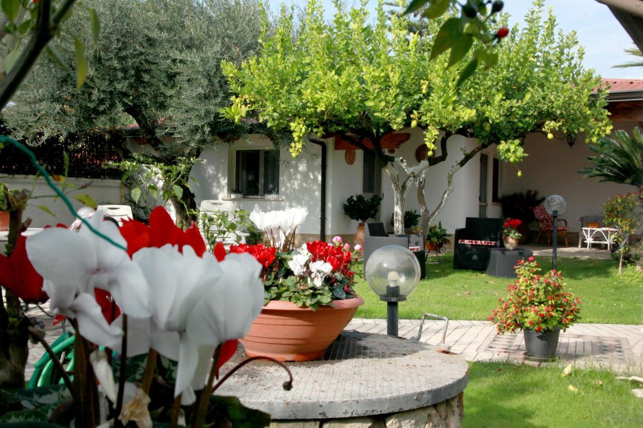 Cellole Villa Cecilia Bed And Breakfast מראה חיצוני תמונה