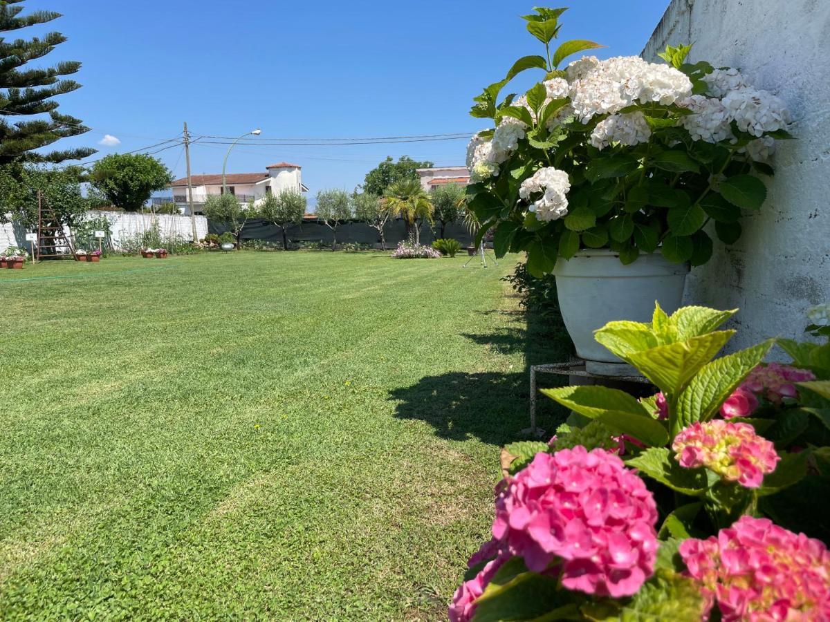 Cellole Villa Cecilia Bed And Breakfast מראה חיצוני תמונה