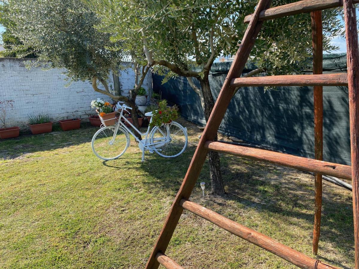 Cellole Villa Cecilia Bed And Breakfast מראה חיצוני תמונה
