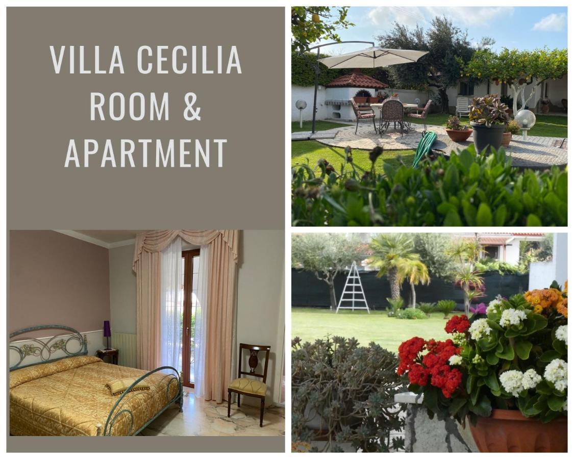 Cellole Villa Cecilia Bed And Breakfast מראה חיצוני תמונה