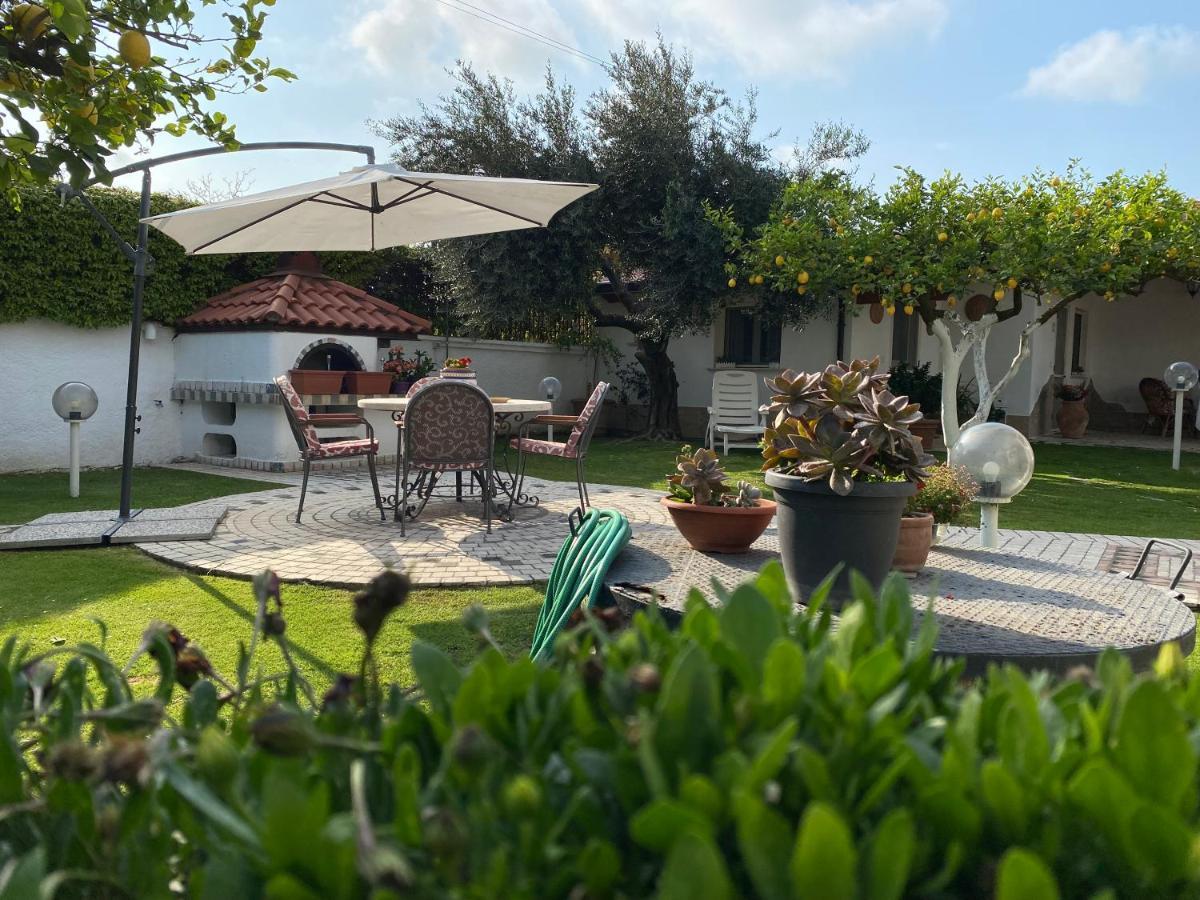 Cellole Villa Cecilia Bed And Breakfast מראה חיצוני תמונה