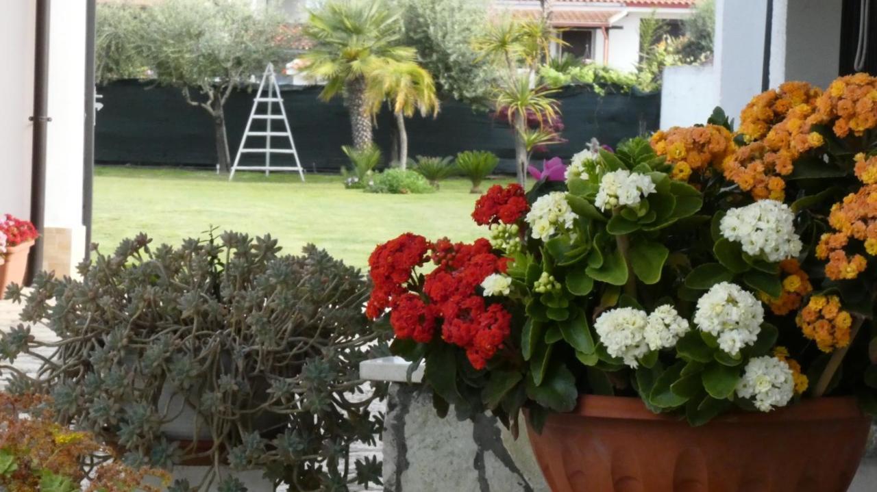 Cellole Villa Cecilia Bed And Breakfast מראה חיצוני תמונה