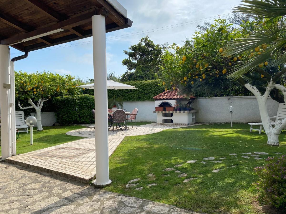 Cellole Villa Cecilia Bed And Breakfast מראה חיצוני תמונה