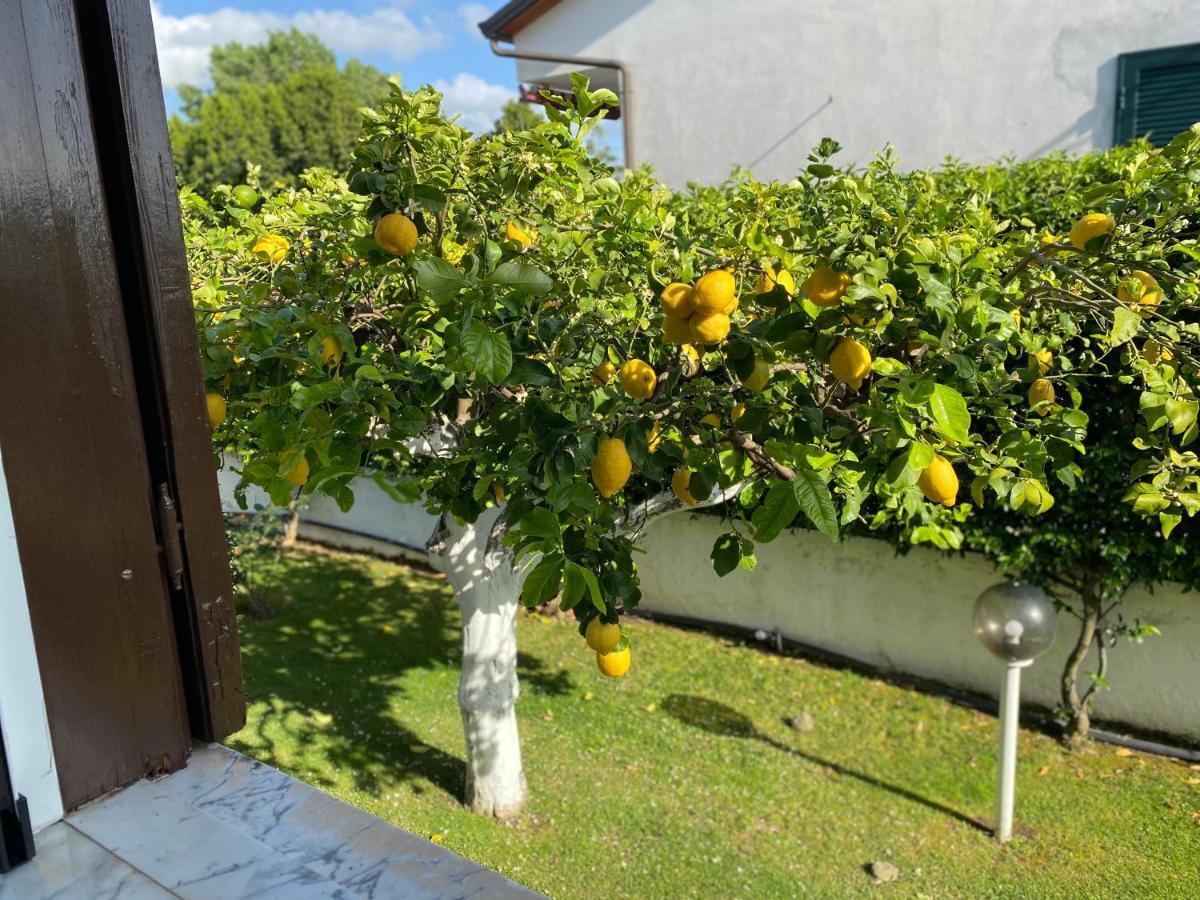 Cellole Villa Cecilia Bed And Breakfast מראה חיצוני תמונה